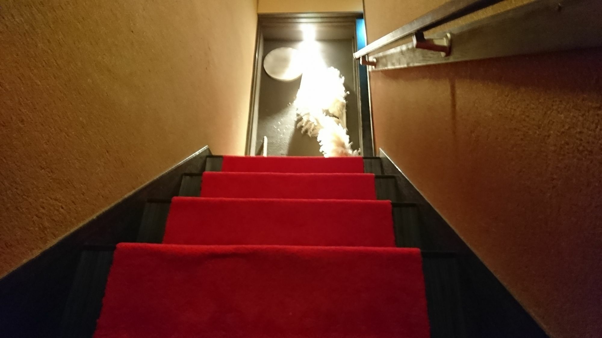 Yadoya Hotel Kyoto Exterior photo